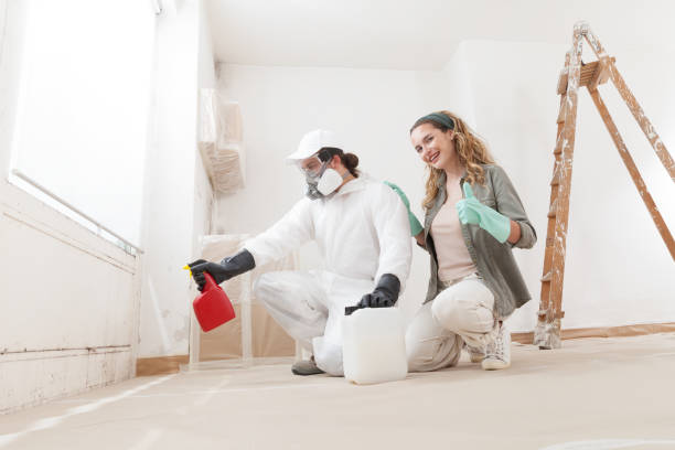 Best Residential Mold Inspection & Testing  in Curwensville, PA